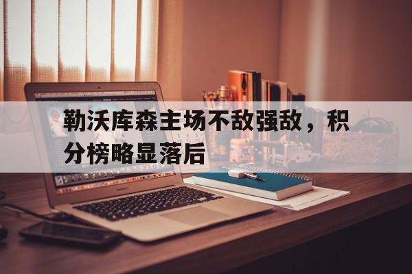 勒沃库森主场不敌强敌，积分榜略显落后